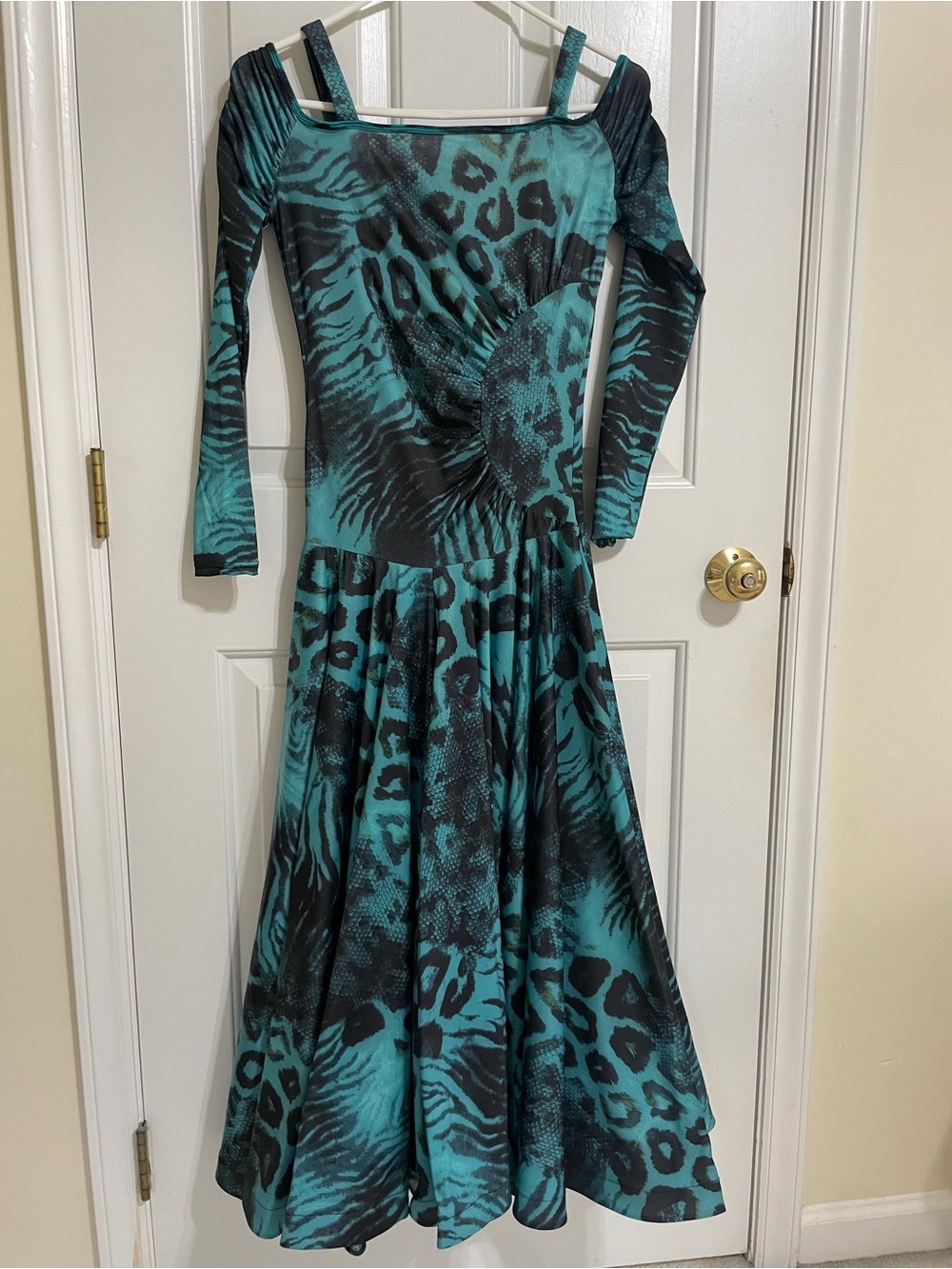 Teal and Black Animal-Print Long Sleeve Flared Dress
